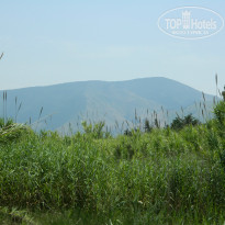 фото из отзыва ID 1010686