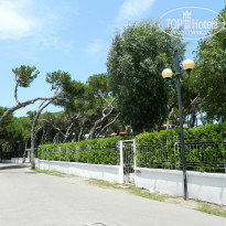 фото из отзыва ID 1010686