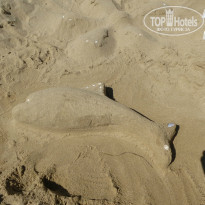 фото из отзыва ID 1010856