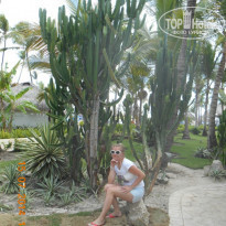 фото из отзыва ID 1011373