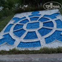 фото из отзыва ID 1010234