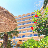 фото из отзыва ID 1011764