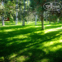 фото из отзыва ID 1012077