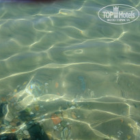 фото из отзыва ID 1012077