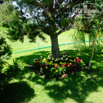 фото из отзыва ID 1012077