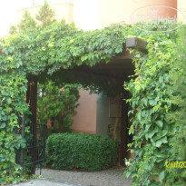 фото из отзыва ID 1010551