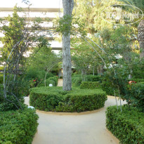 фото из отзыва ID 1012814