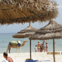 фото из отзыва ID 1011220