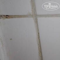 фото из отзыва ID 1012972