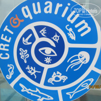 фото из отзыва ID 1012988