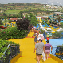 фото из отзыва ID 1012988