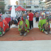 фото из отзыва ID 1012426