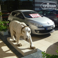 фото из отзыва ID 1012426