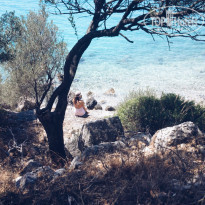 фото из отзыва ID 1013246