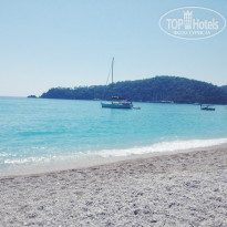 фото из отзыва ID 1013246