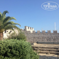 фото из отзыва ID 1013246