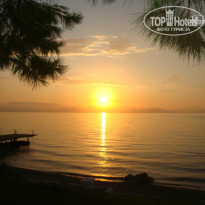 фото из отзыва ID 1013375