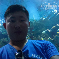 фото из отзыва ID 1013562