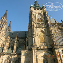 фото из отзыва ID 1013719