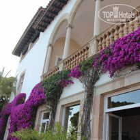 фото из отзыва ID 1013911