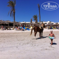 фото из отзыва ID 1013925