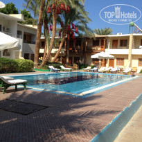 фото из отзыва ID 1013935