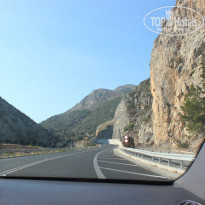 фото из отзыва ID 1013996