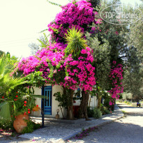 фото из отзыва ID 1014108