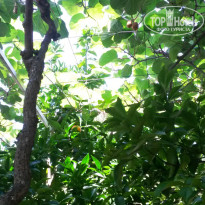 фото из отзыва ID 1014157