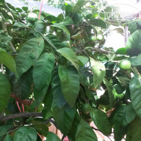 фото из отзыва ID 1014157