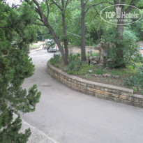 фото из отзыва ID 1014204