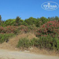 фото из отзыва ID 1014213