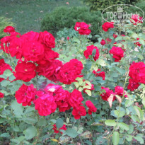 фото из отзыва ID 1014234
