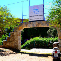 фото из отзыва ID 1014246