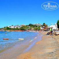 фото из отзыва ID 1014246