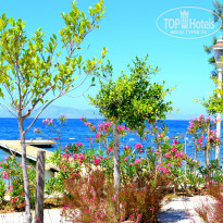 фото из отзыва ID 1014246