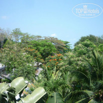 фото из отзыва ID 1014506