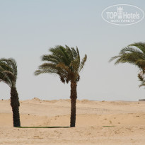 фото из отзыва ID 1014519