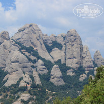 фото из отзыва ID 1014549