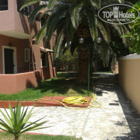 фото из отзыва ID 1014651