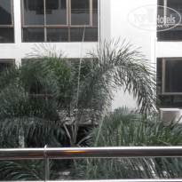 фото из отзыва ID 1014758