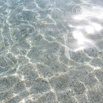 фото из отзыва ID 1014883