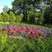 фото из отзыва ID 1010561