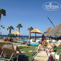 фото из отзыва ID 1015048