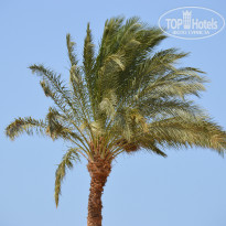 фото из отзыва ID 1015201