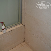 фото из отзыва ID 1015203