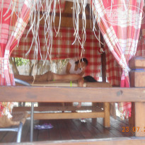 фото из отзыва ID 1015289