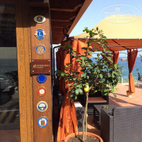 фото из отзыва ID 1015284