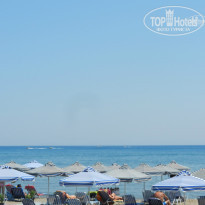 фото из отзыва ID 1015406