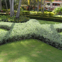 фото из отзыва ID 1015526